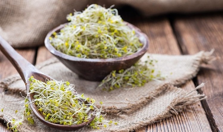 Alimentacion Germinados Málaga
